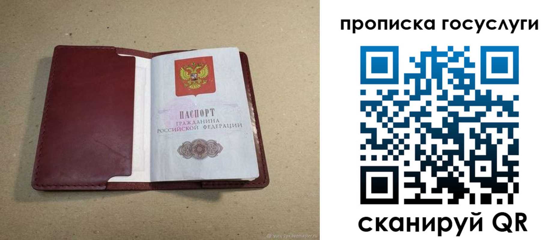 прописка поиск в Кинеле